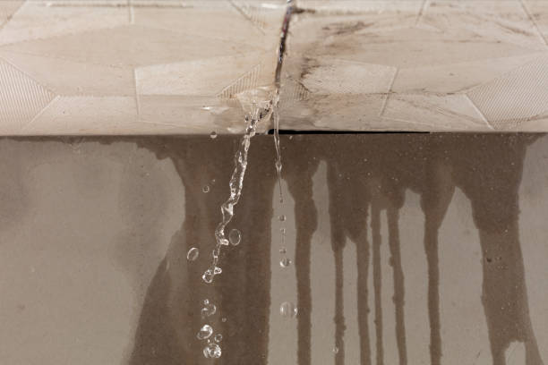 Professional Water Damage Restoration technician working in Salado, TX